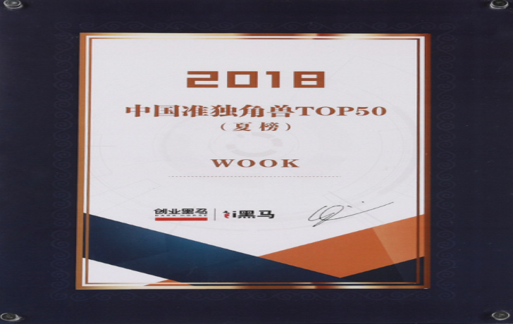 中国准独角兽TOP50